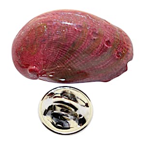 Abalone Shell Pin ~ Hand Painted ~ Lapel Pin ~ Sarah's Treats & Treasures